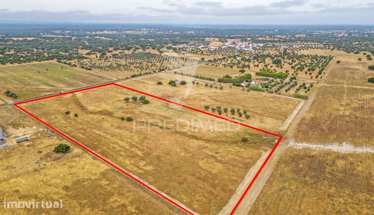 Quinta com 2,8250 ha e ruínas com 46 m2 em Fornalhas Velhas - Grande imagem: 5/25