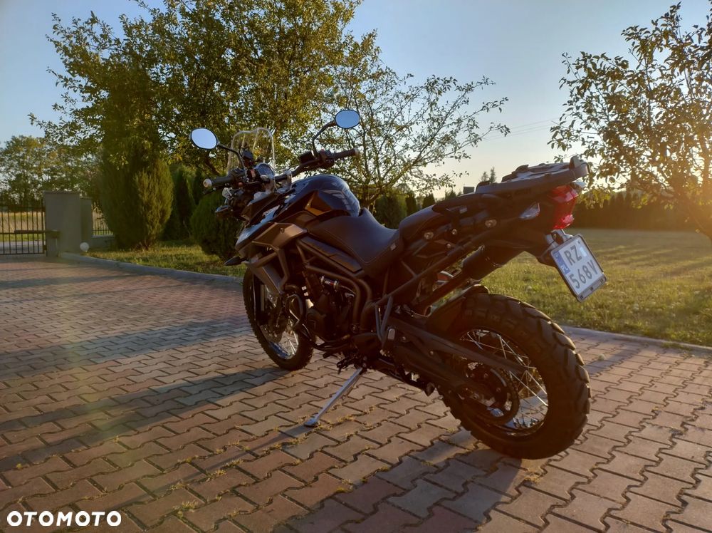 Triumph Tiger - 8