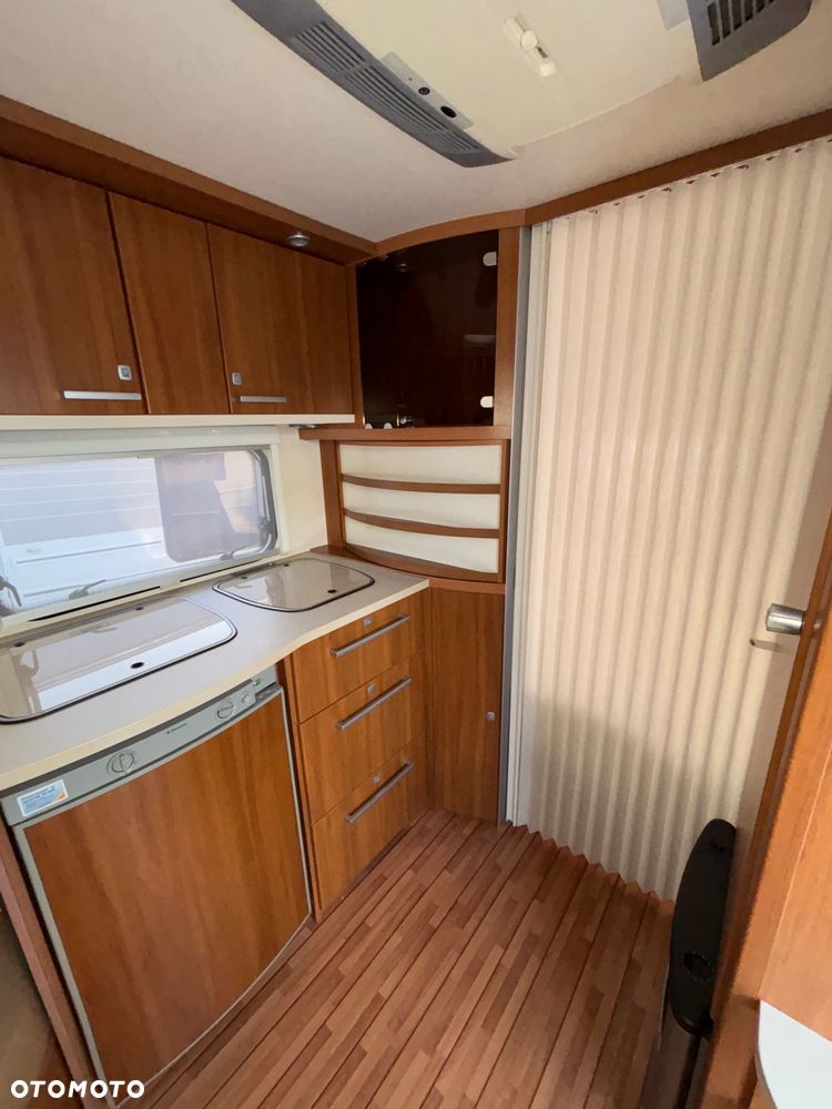 Tabbert Puccini - 11