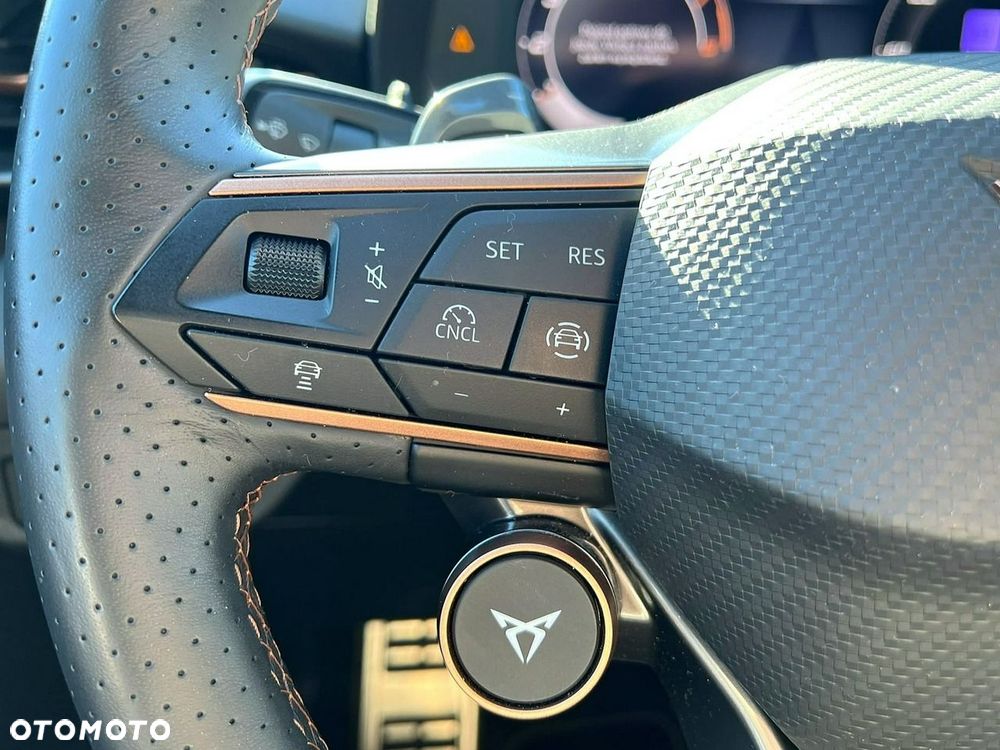 Cupra Terramar - 25