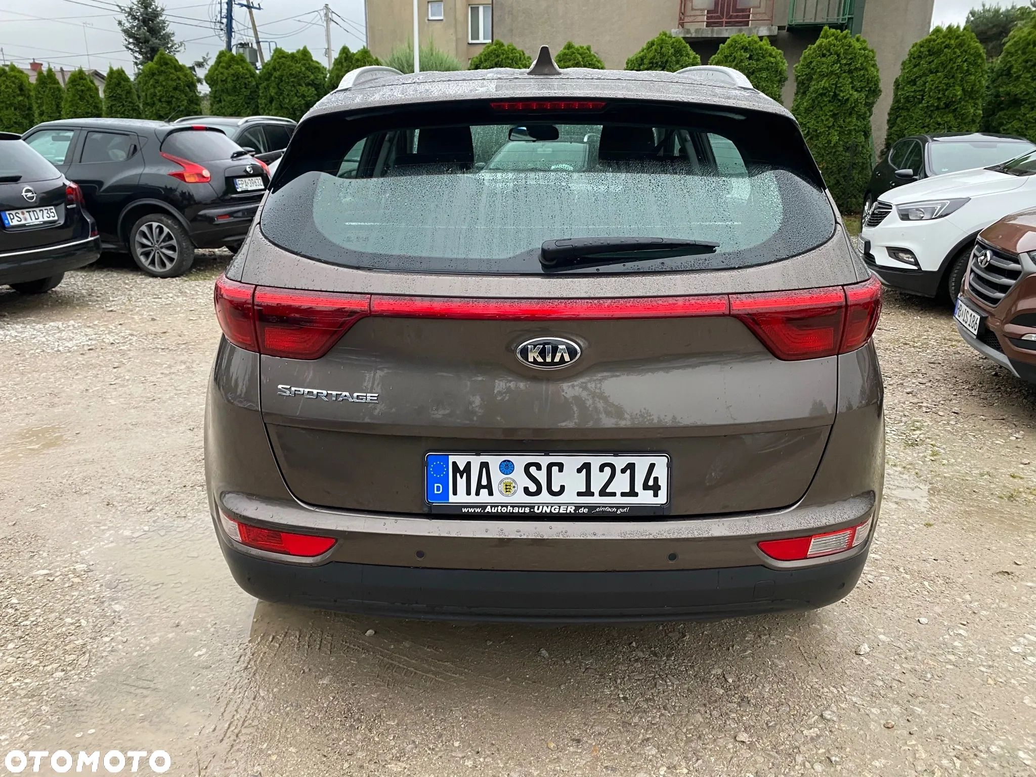 Kia Sportage 1.6 GDI L Business Line 2WD - 5