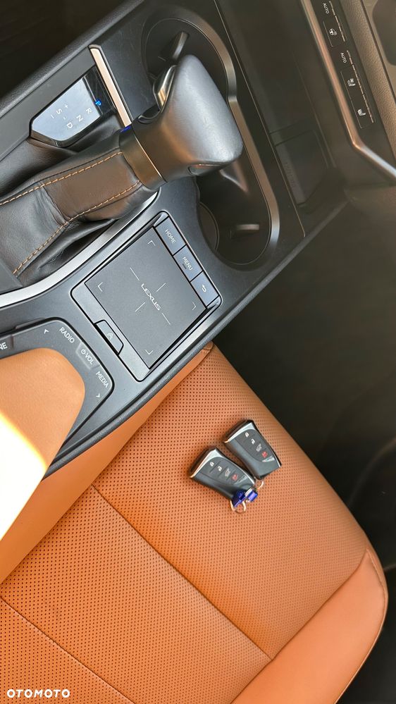 Lexus UX 250h GPF Prestige AWD - 35