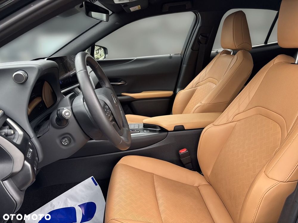 Lexus UX 300h Omotenashi - 19