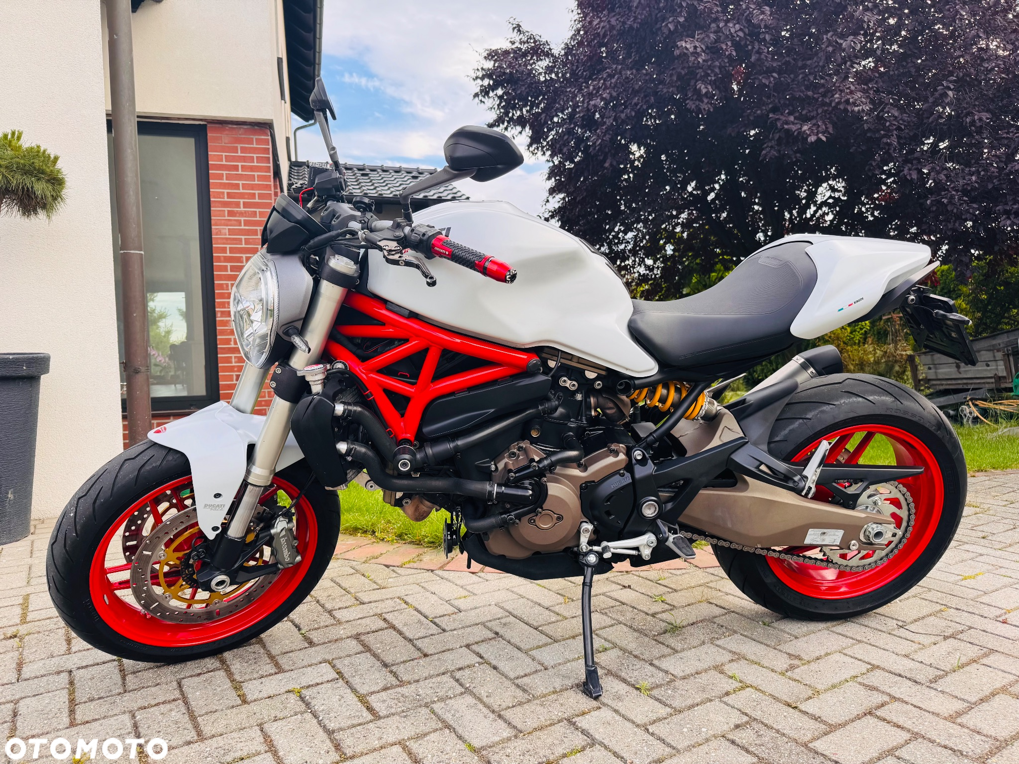 Ducati Monster - 10