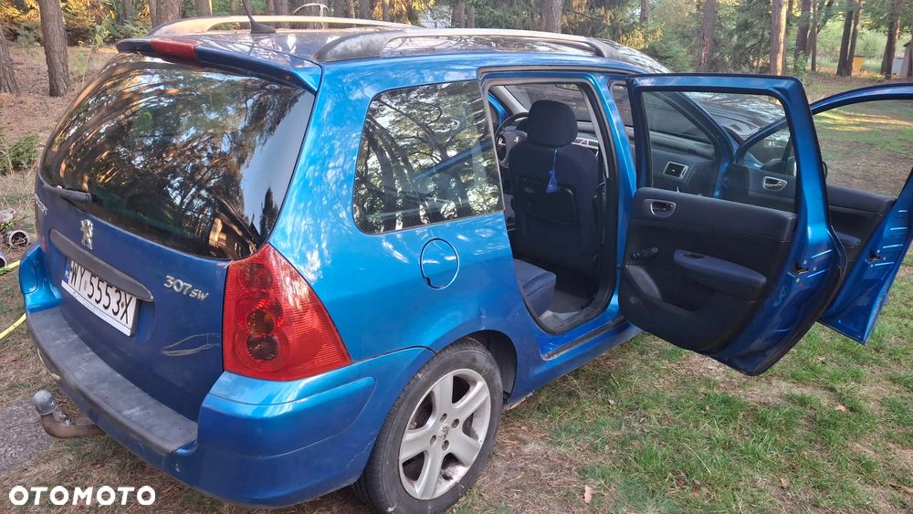 Peugeot 307 - 8