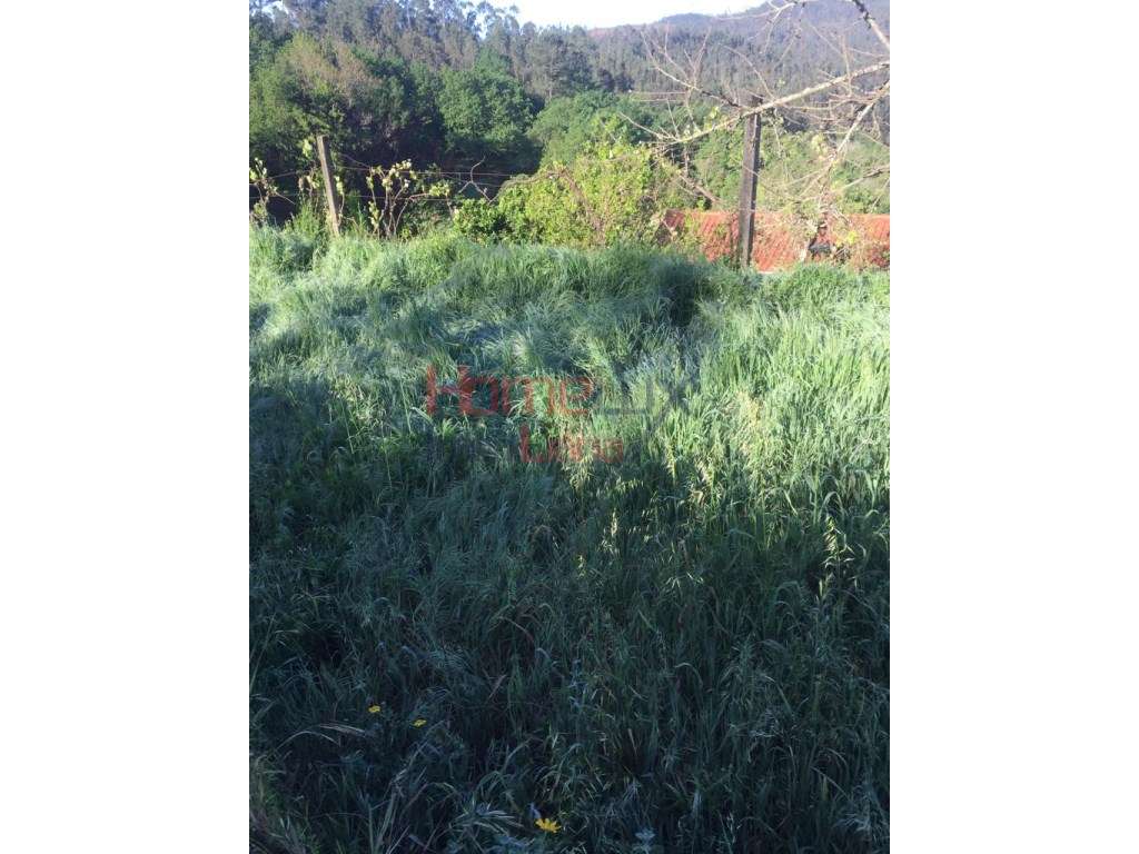 Terreno em Albergaria-A-Velha - Grande imagem: 5/30