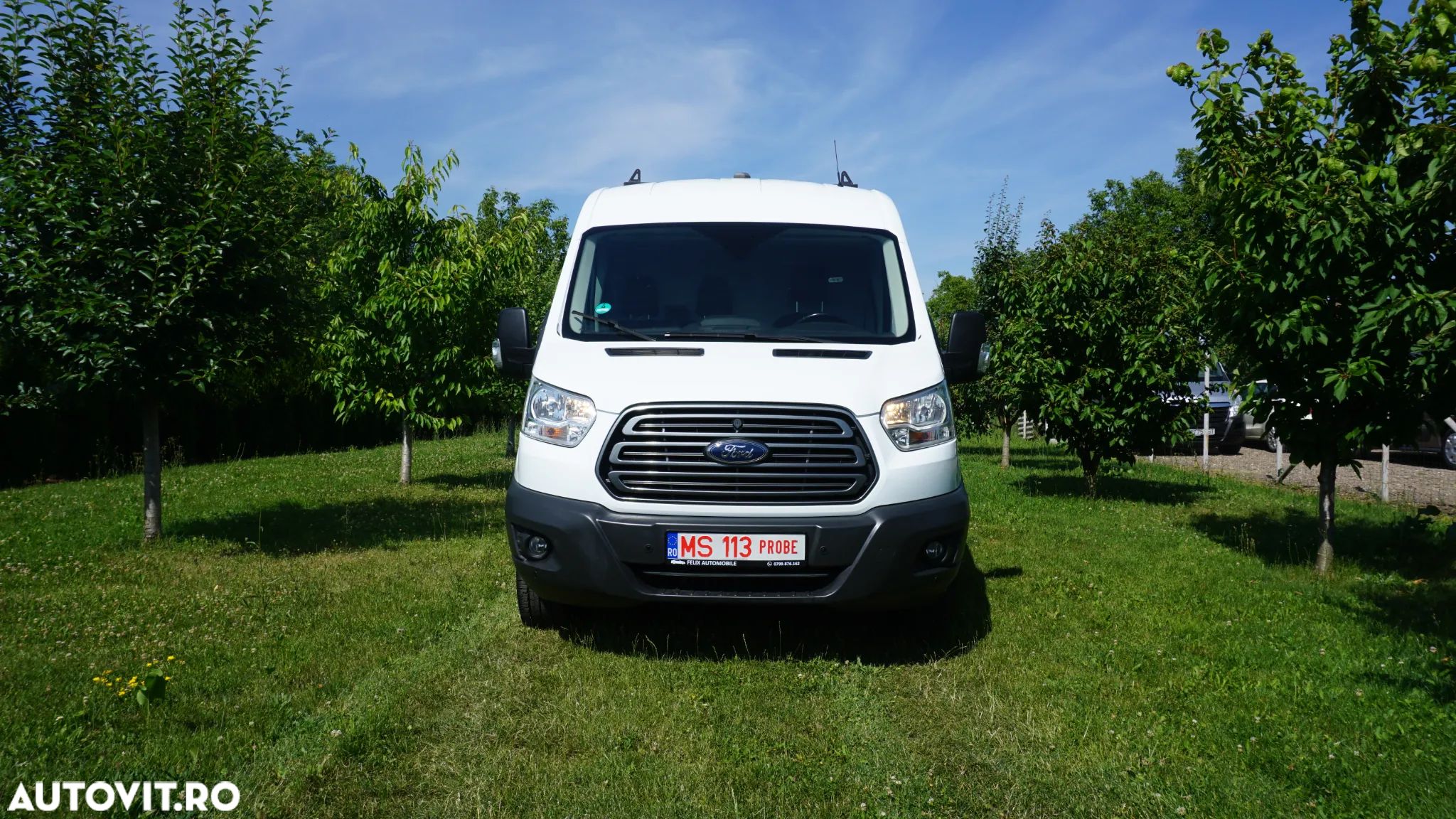 Ford Transit - 1