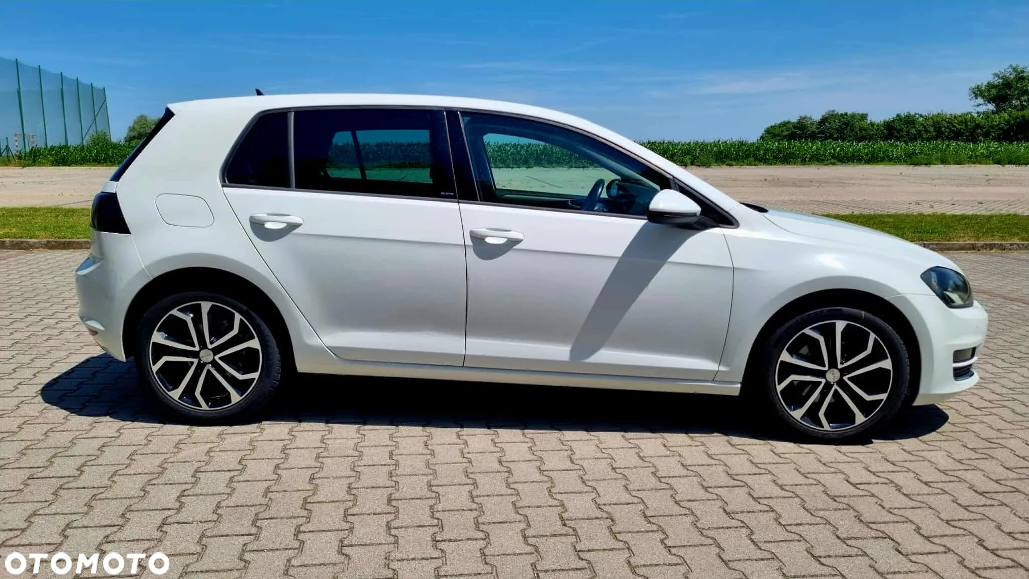 Volkswagen Golf 1.6 TDI BlueMotion Technology DSG Allstar - 11