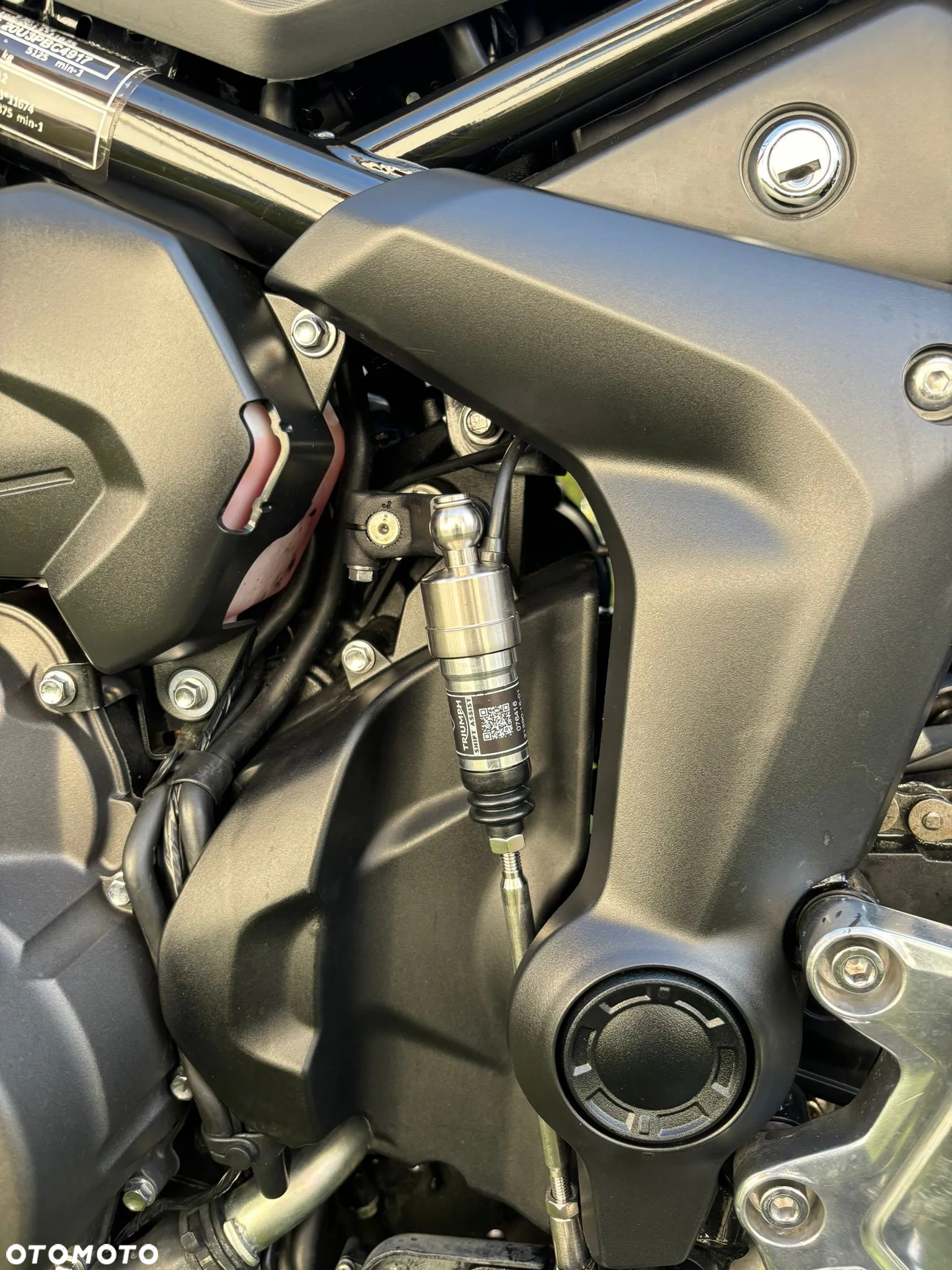 Triumph Tiger - 17