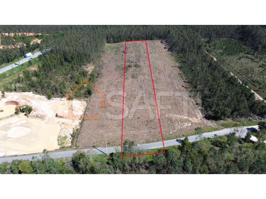 Terreno Rústico com 1 Hectare à Venda no Relvão, Redinha - Pombal - Grande imagem: 4/13