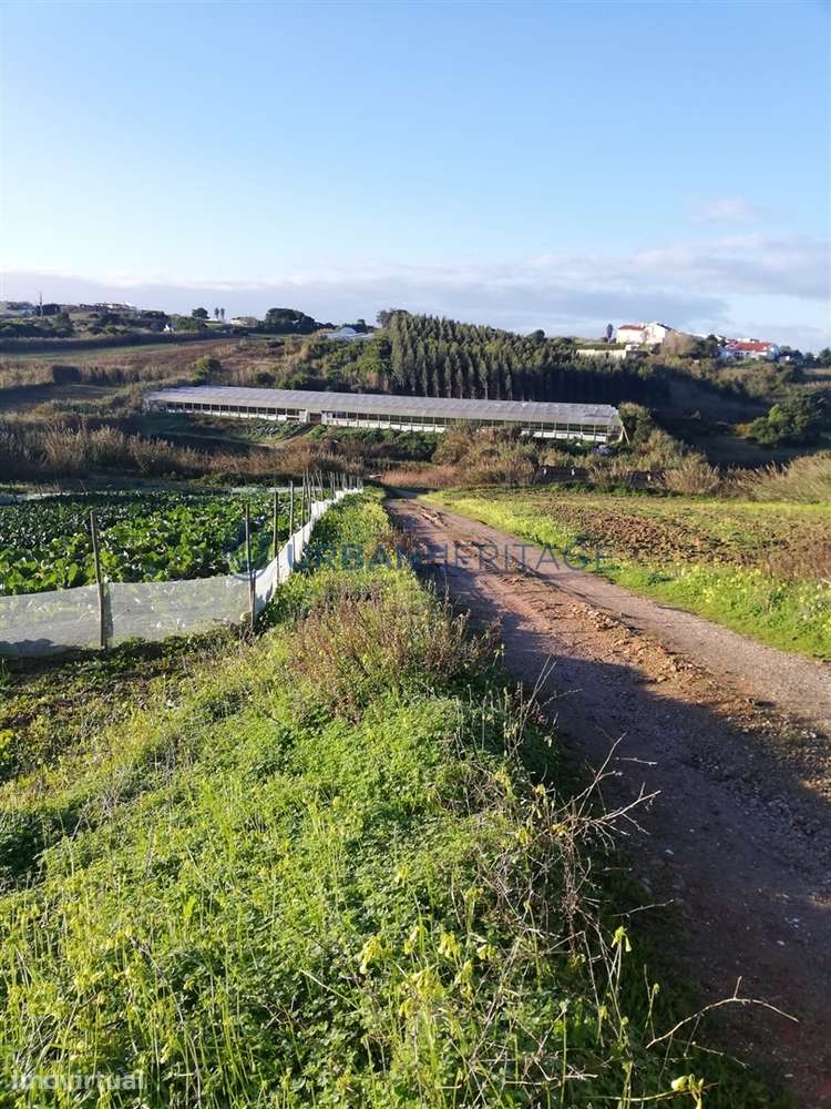 Lote de Terreno  Venda em A dos Cunhados e Maceira,Torres Vedras - Grande imagem: 3/6