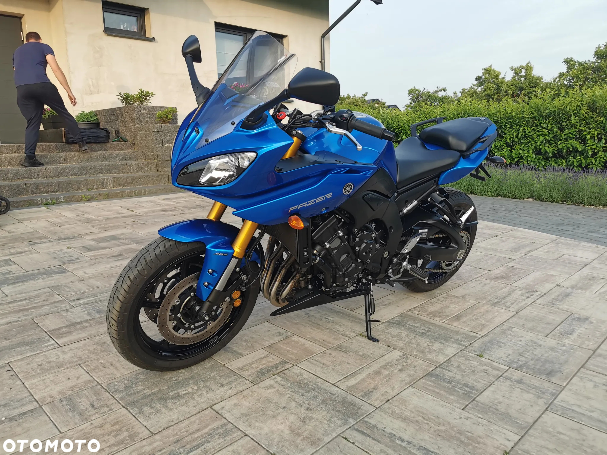 Yamaha FZ8 - 30