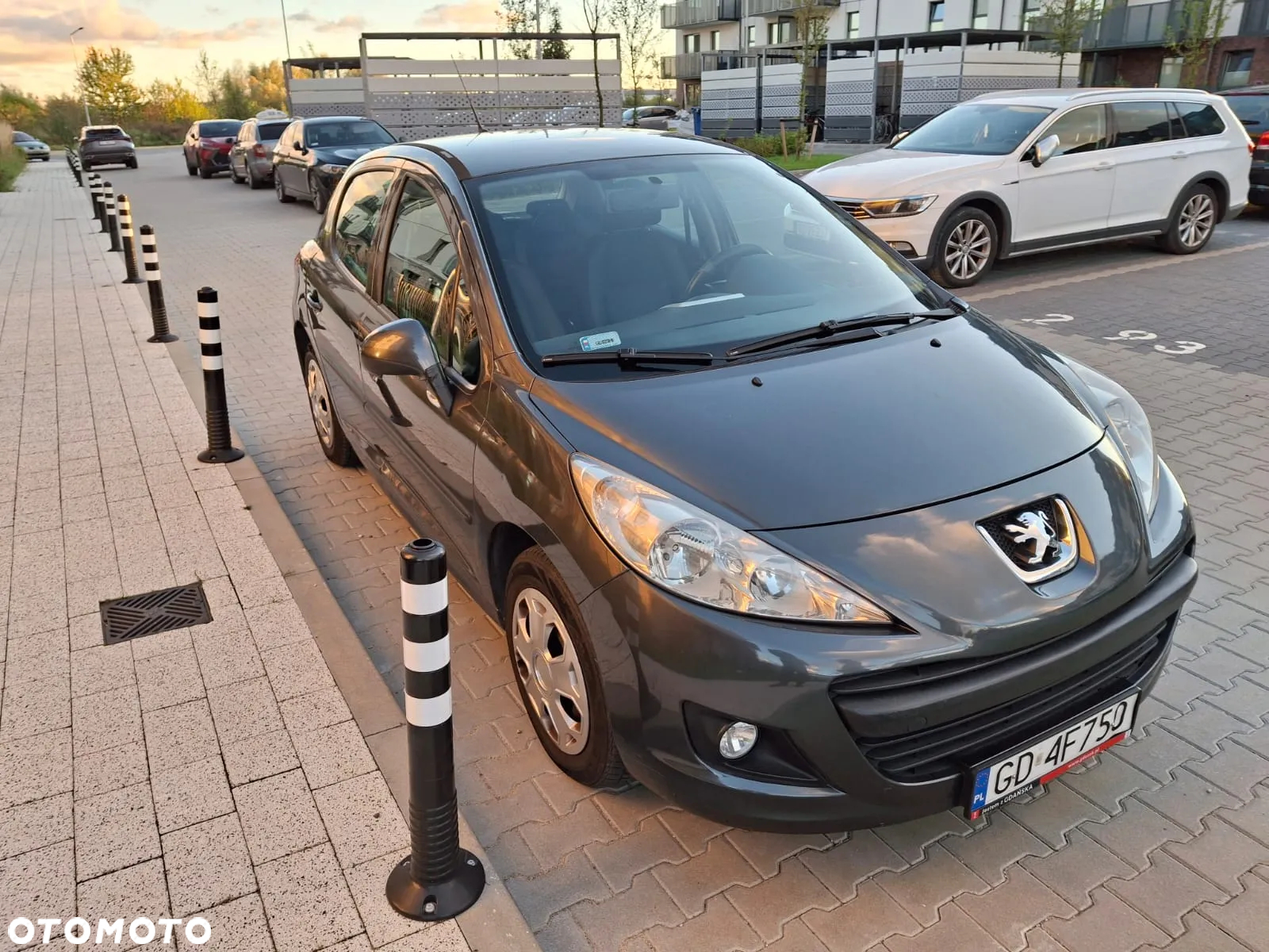 Peugeot 207 - 4