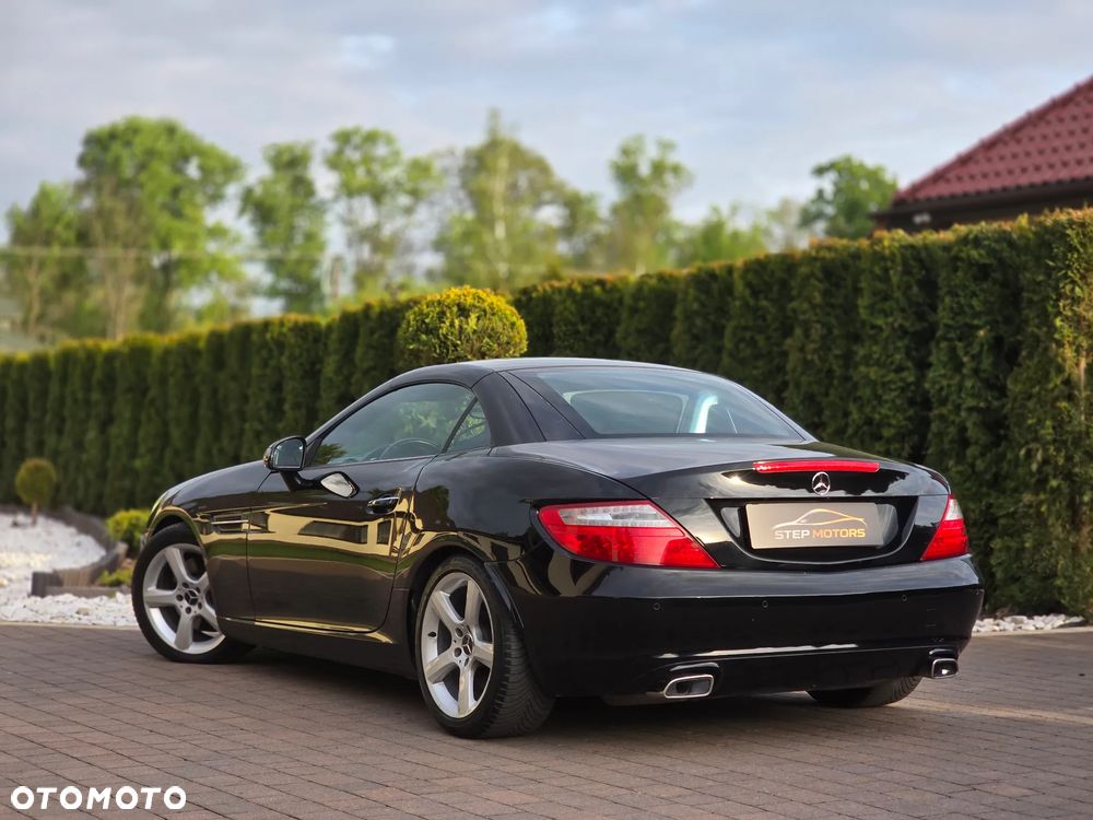 Mercedes-Benz SLK 250 CDI BlueEff - 19
