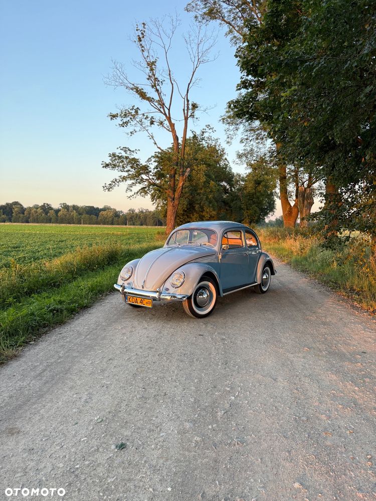 Volkswagen Garbus - 6