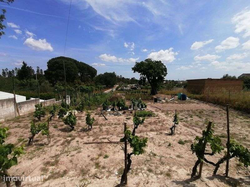 Terreno urbanizável 2.350 m² | PIP aprovado | Vale Mansos Coruche - Grande imagem: 5/11