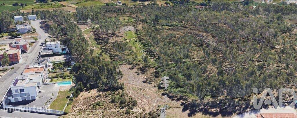 Terreno Agrícola em Leiria, Pousos, Barreira e Cortes - Grande imagem: 5/7