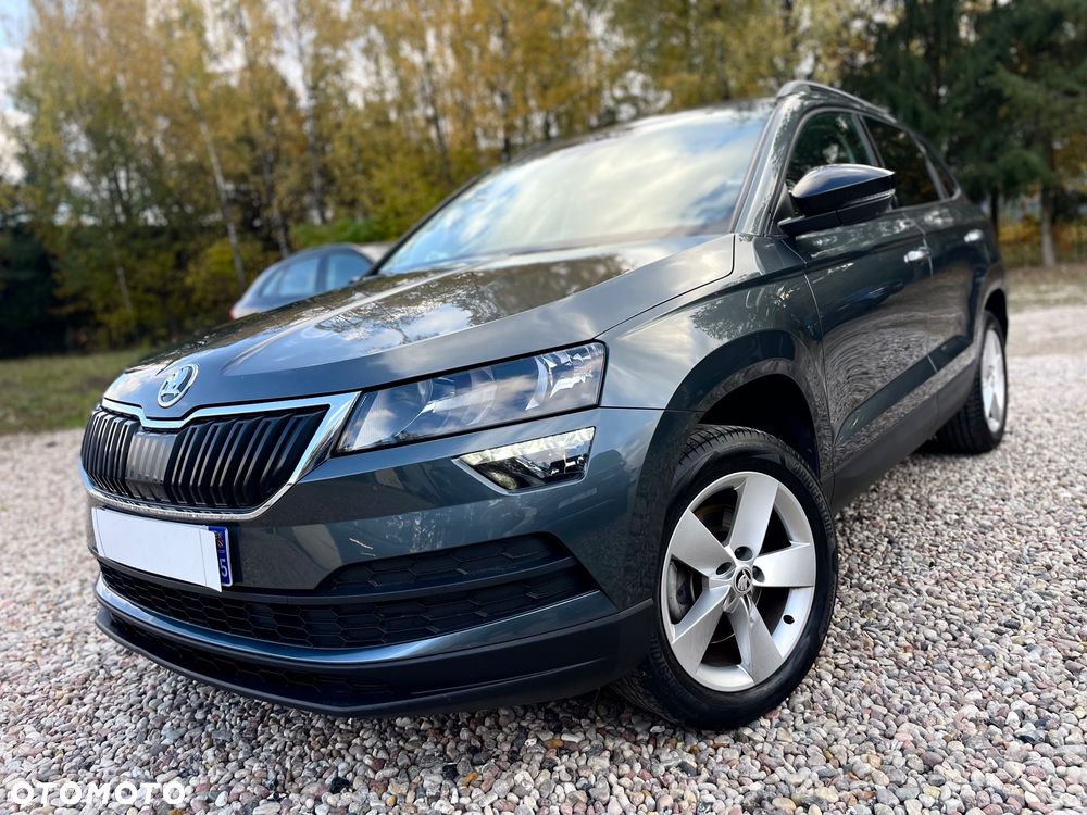 Skoda Karoq 2018 photo 5
