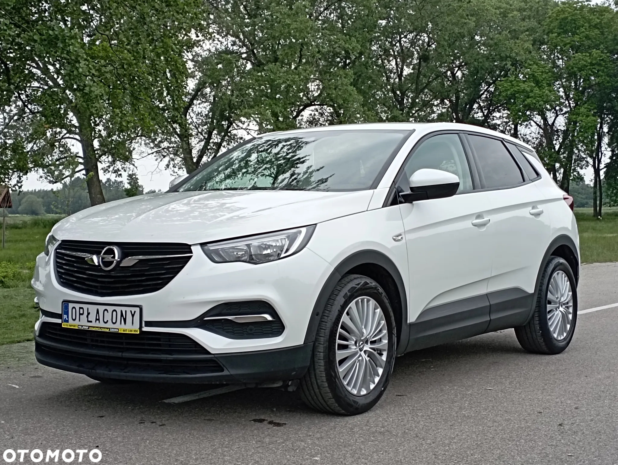 Opel Grandland X - 10