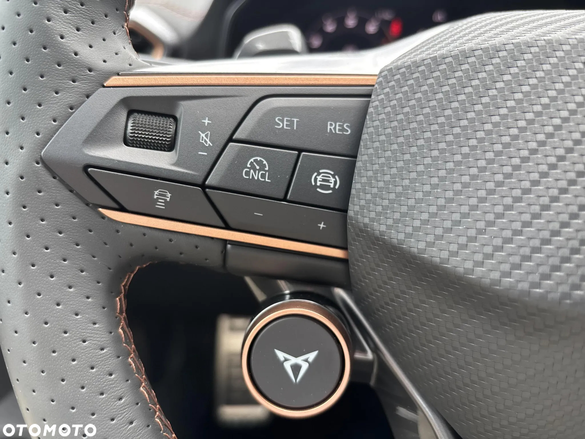 Cupra Formentor 2.0 TSI 4Drive VZ DSG - 21