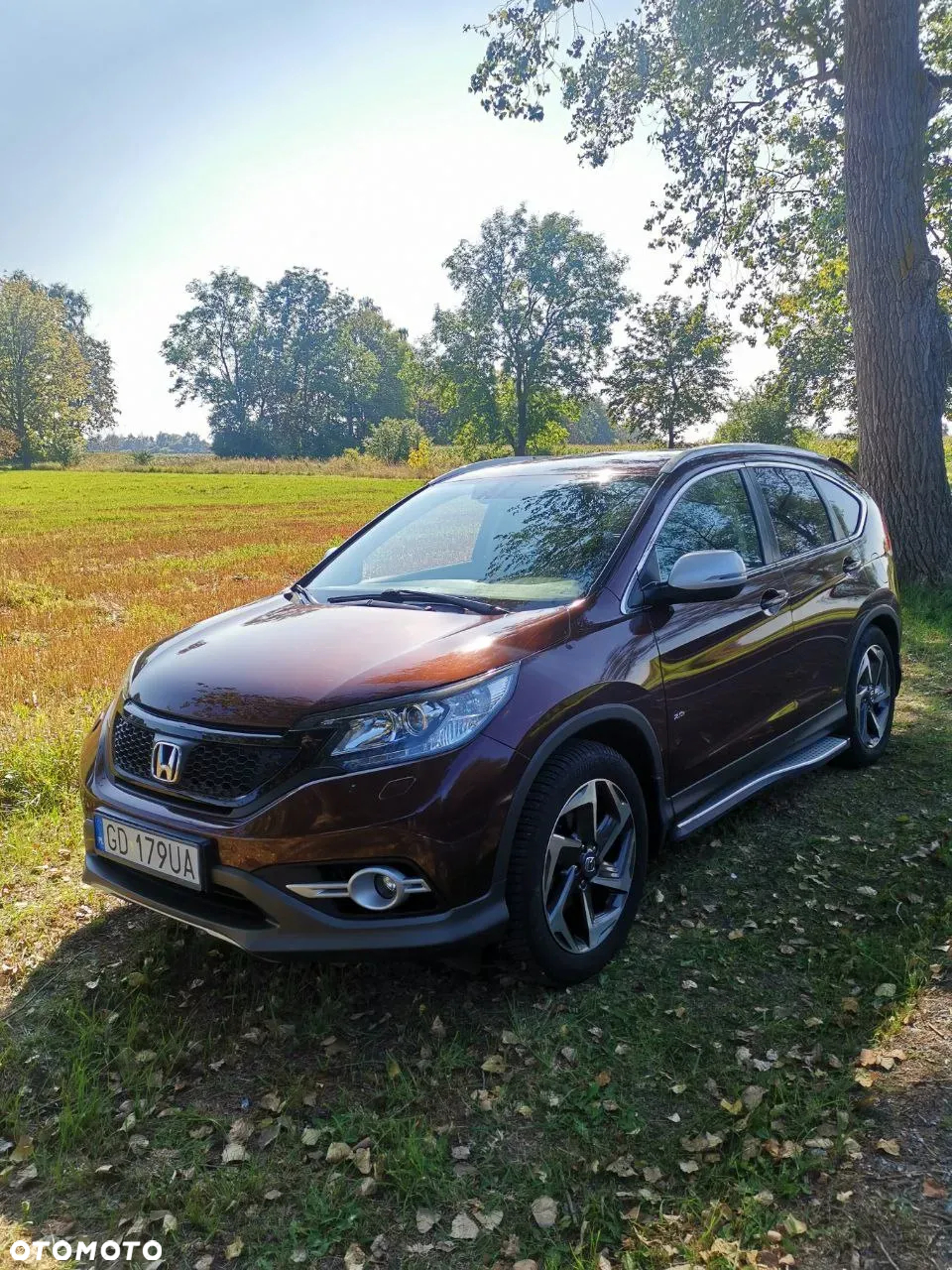 Honda CR-V 2.0i-VTEC 2WD S - 2