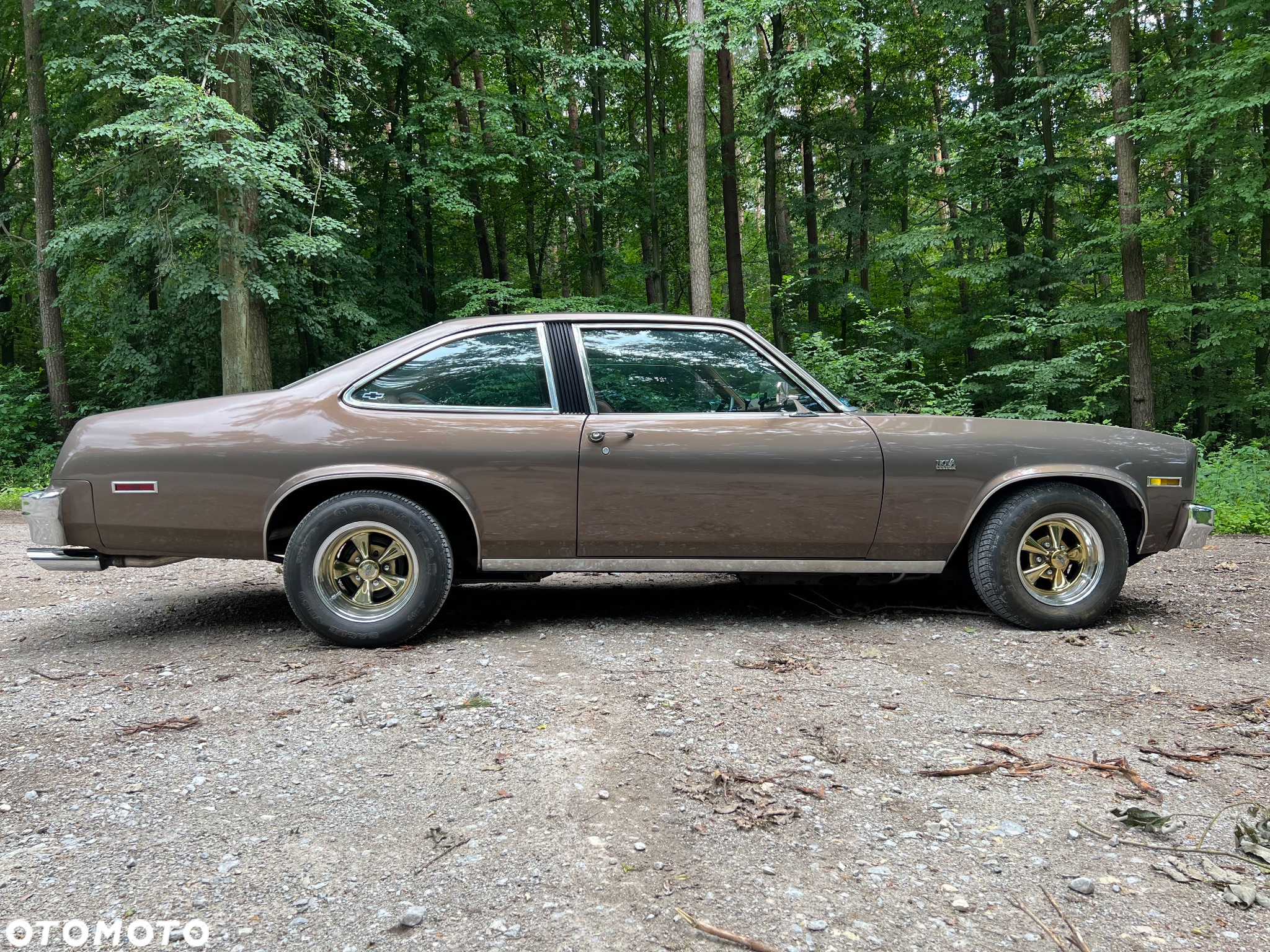 Chevrolet Nova - 2