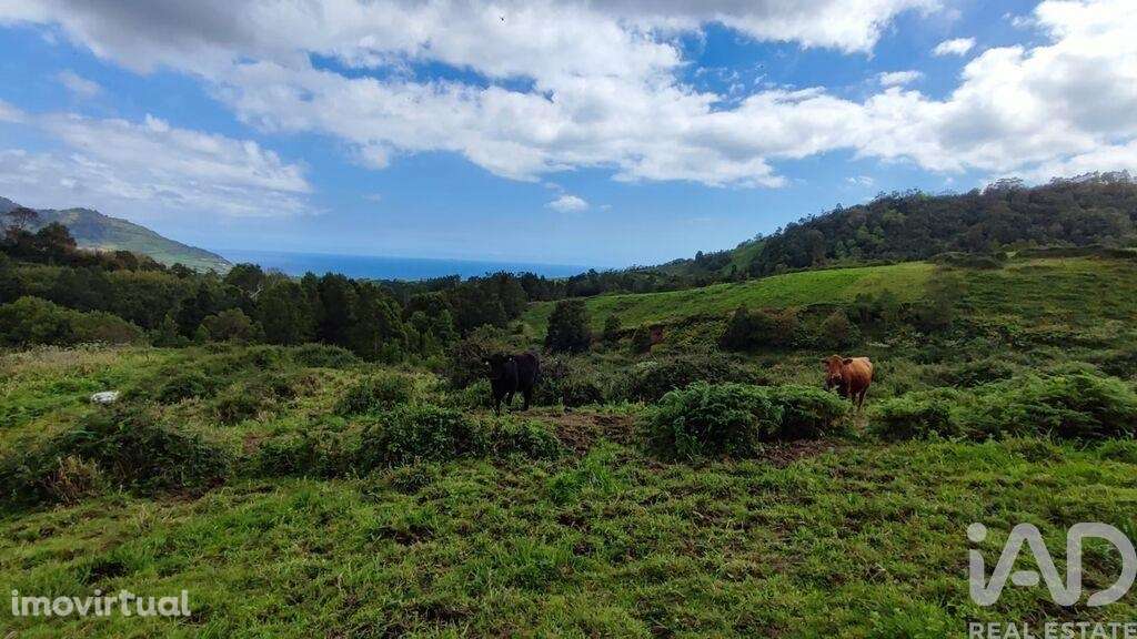 Terreno em Povoação de 142408,00 m2 - Grande imagem: 4/15