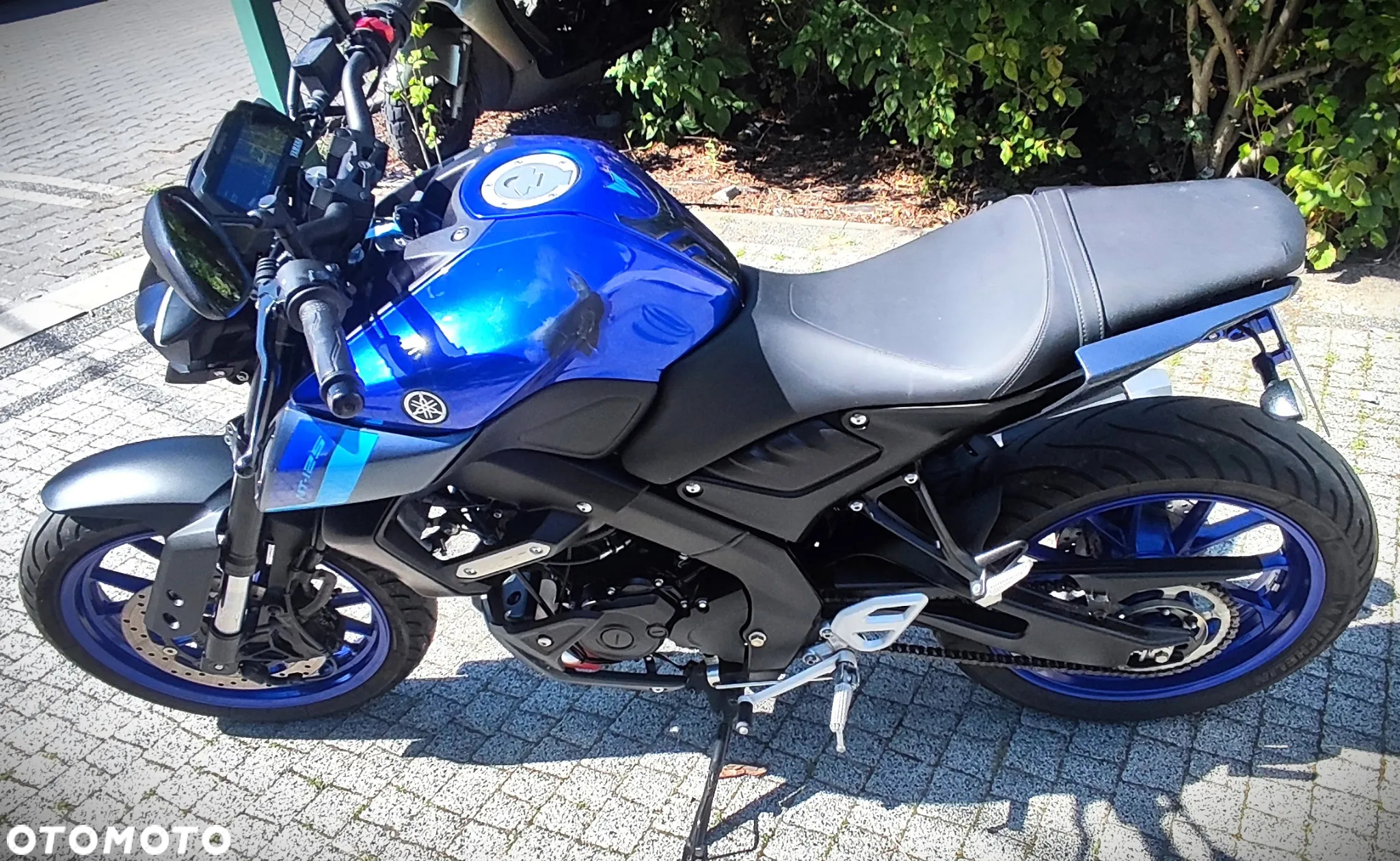 Yamaha MT - 19