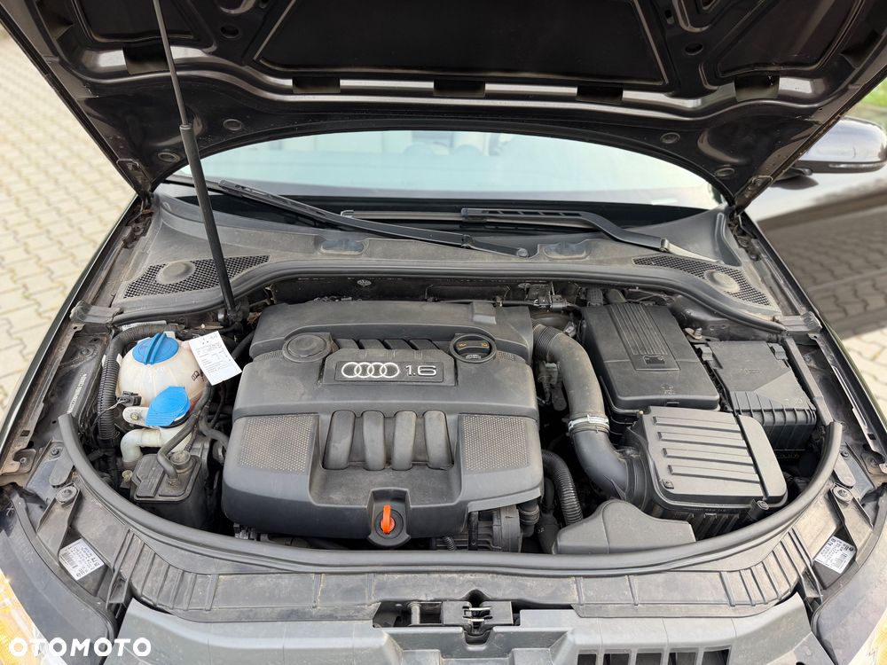 Audi A3 Sportback 1.6 Ambiente - 39