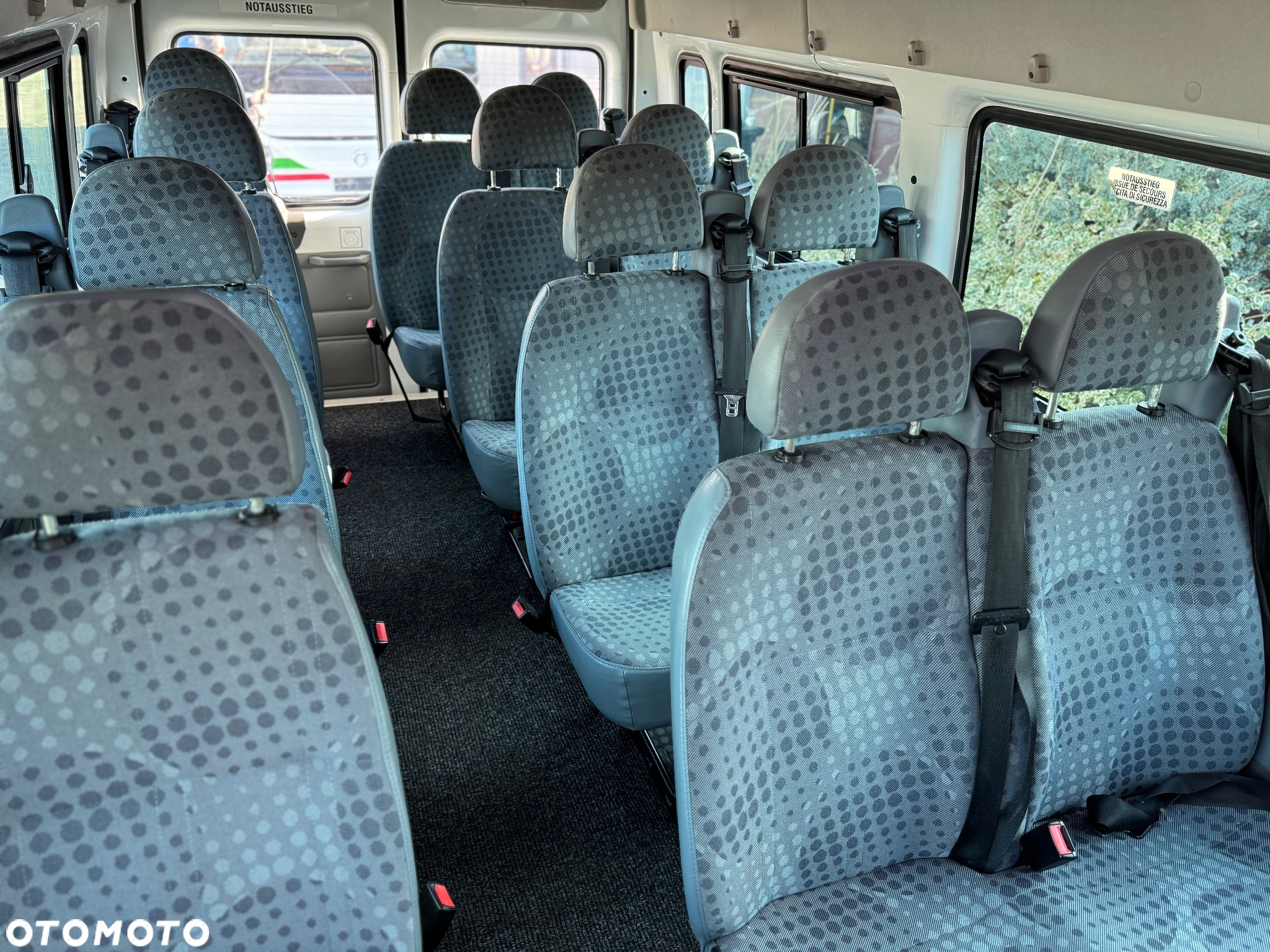 Ford Transit Tourneo - 16