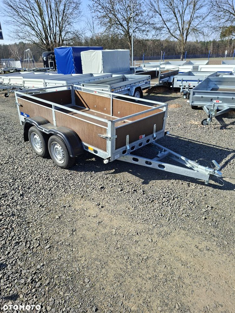 Blyss Krakus Wzmacniany - 1