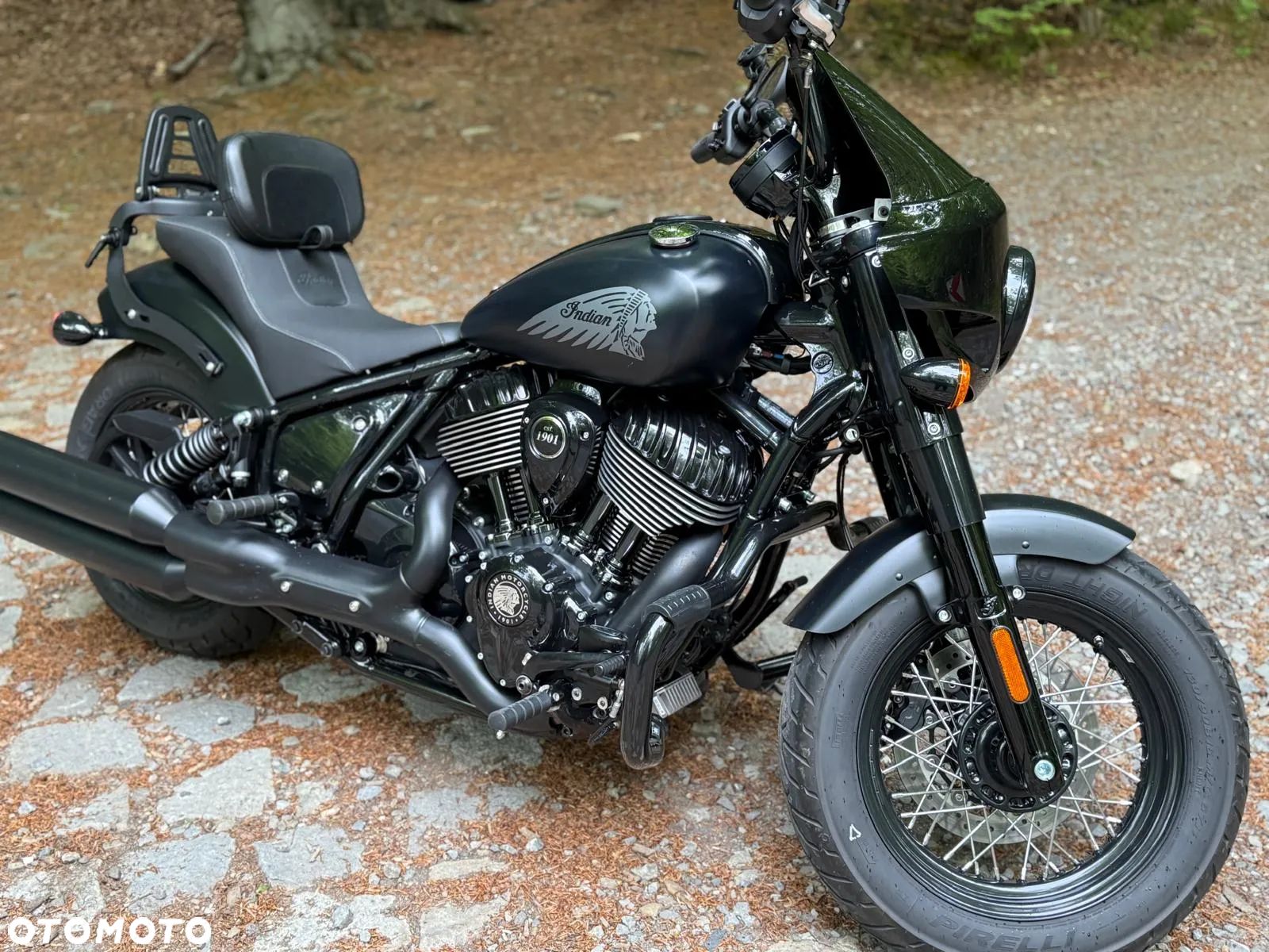 Indian Chief - 1