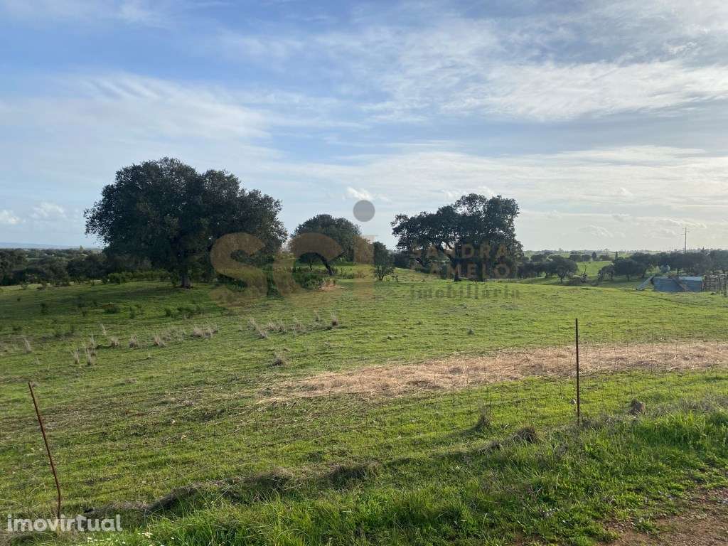 Terreno rústico nas imediações de Vila Nova de São Bento - Grande imagem: 2/23