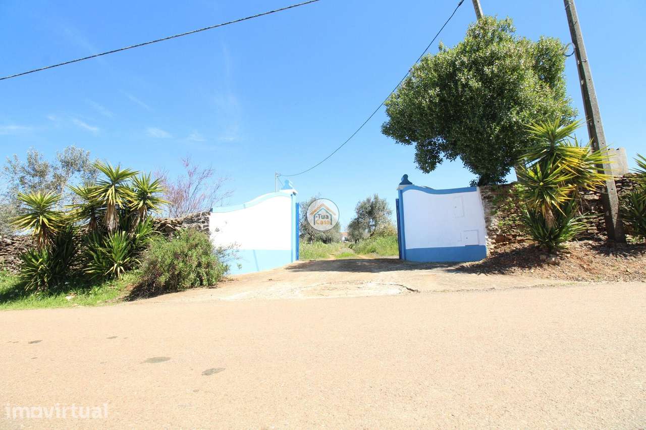 Quinta com 3,35 Hectares com Habitação de 130m2 localizada em Vila Boi - Grande imagem: 3/46