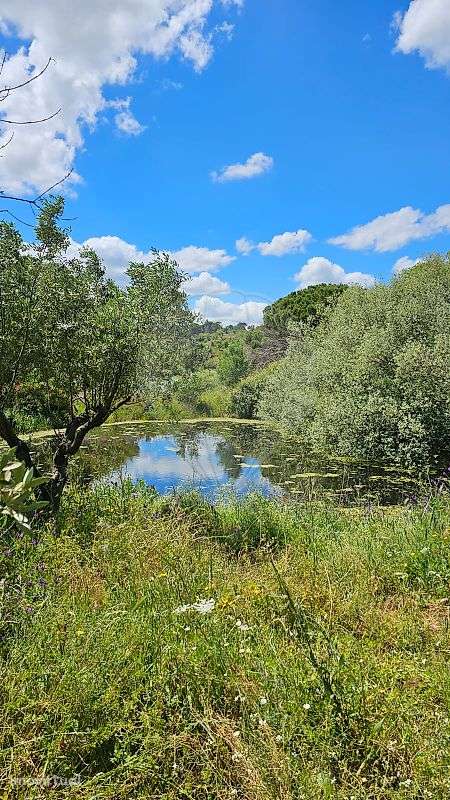 Quinta  para venda - Grande imagem: 5/16