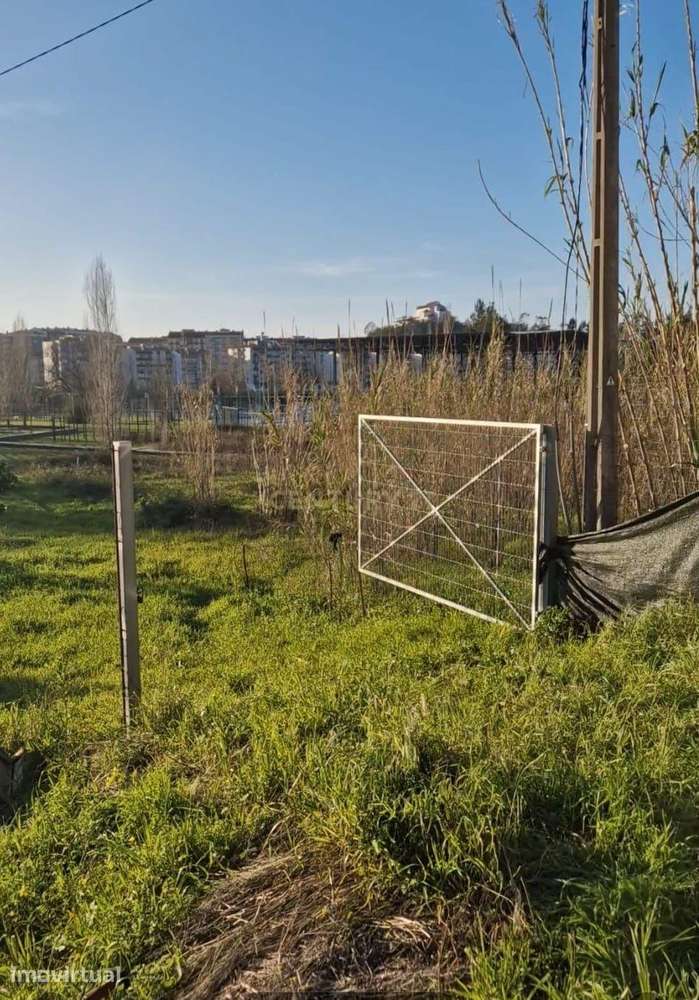 Terreno no Centro de São Romão – Leiria | 4.890 m² - Grande imagem: 3/13
