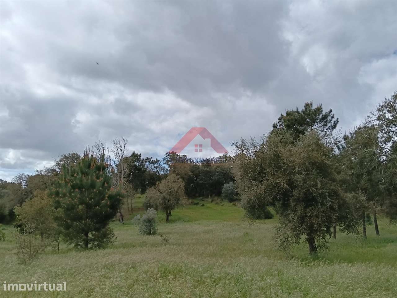 Terreno  Venda em Vale de Santarém,Santarém - Grande imagem: 5/10