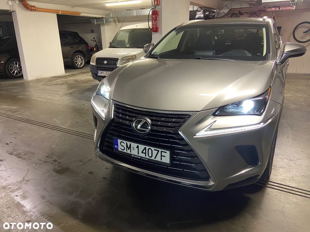 Lexus NX 300 Comfort AWD - 15