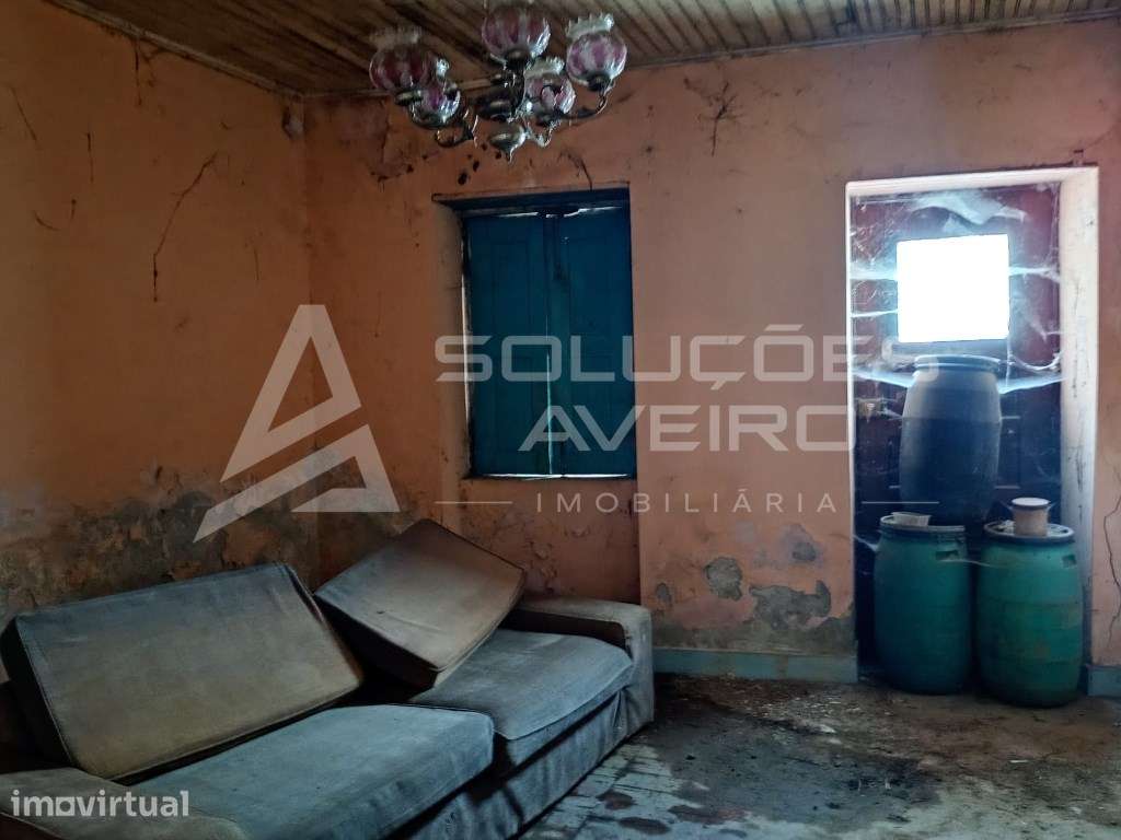 Moradia T4 Típica Gandaresa para Remodelação - Excelente Oportunida... - Grande imagem: 3/11