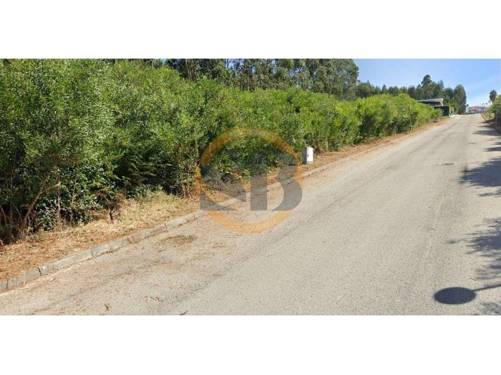 Lotes de Terreno em Escapães - Santa Maria da Feira - Grande imagem: 3/5