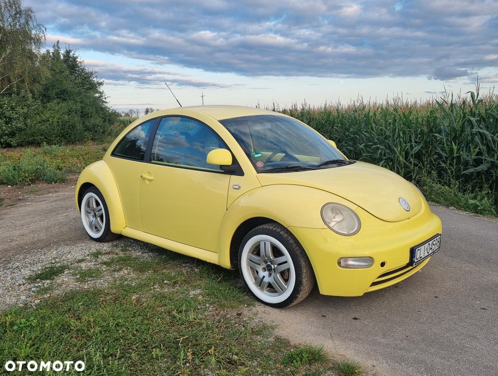 Volkswagen Beetle - 1