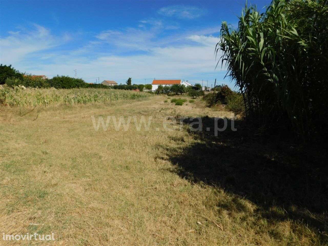 Quinta / Fundão, Catrão - Grande imagem: 3/13