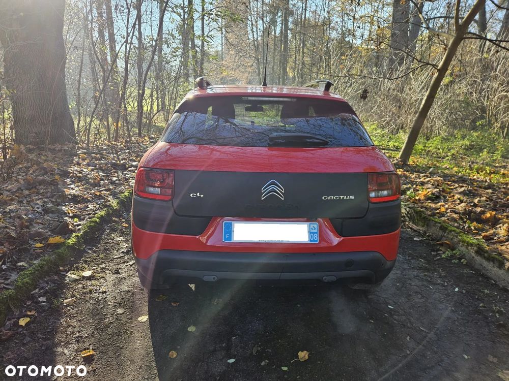 Citroën C4 Cactus PureTech 82 Business Class - 9