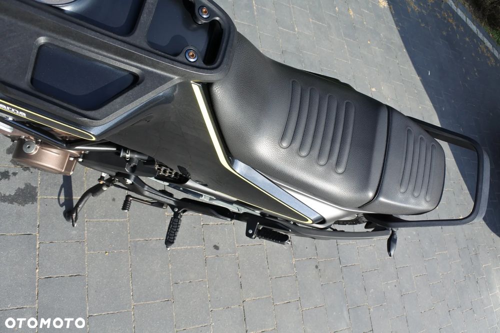 Husqvarna Svartpilen - 20