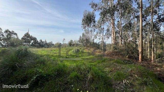 Terreno rústico com 24450m2 em Olival, Vila Nova de Gaia. - Grande imagem: 5/9