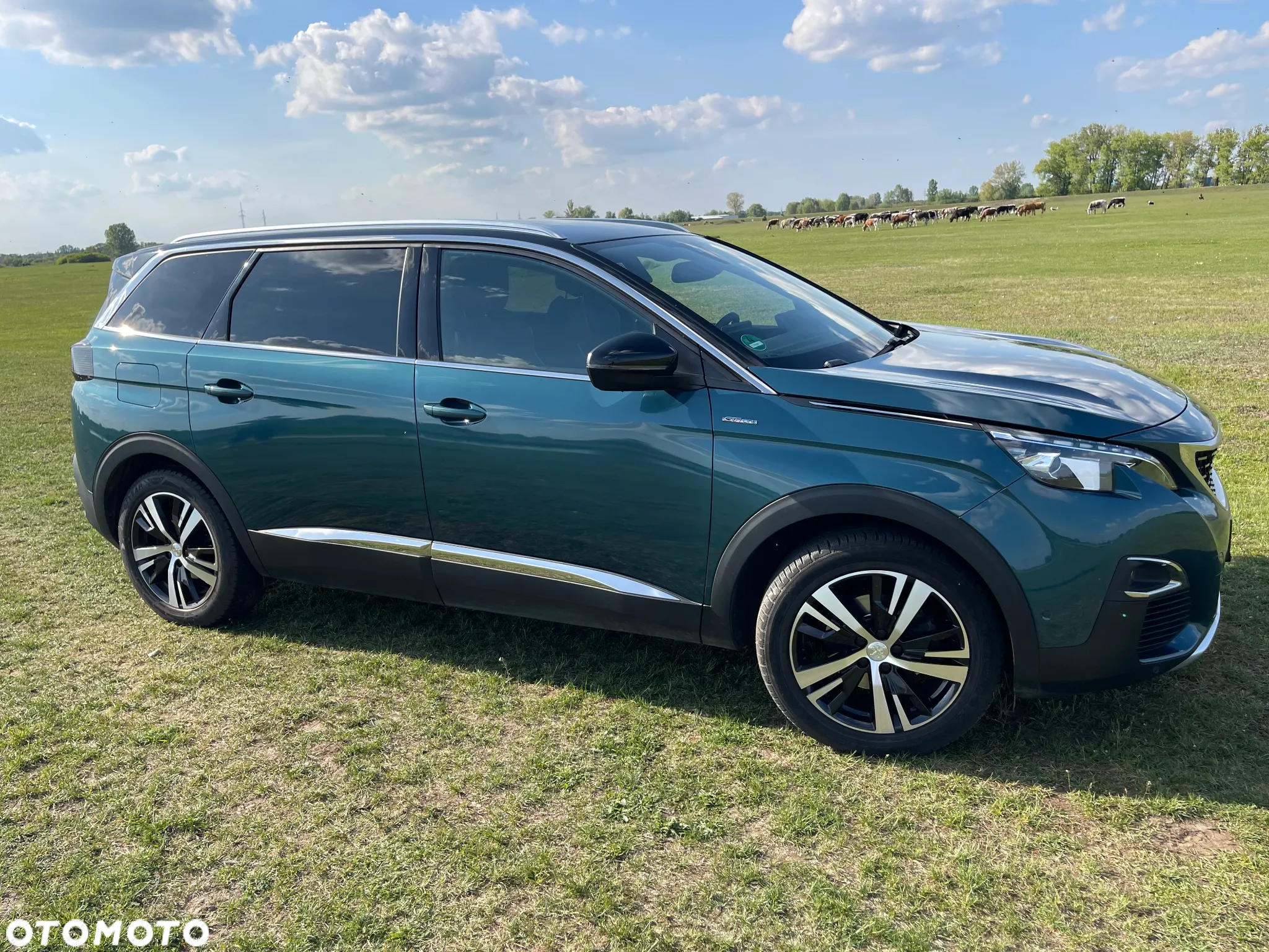 Peugeot 5008 1.6 PureTech GT Line S&S EAT8 - 10