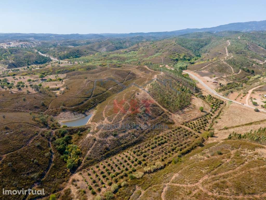 Terreno Rústico com horta e barragem e bom acesso - Grande imagem: 3/10