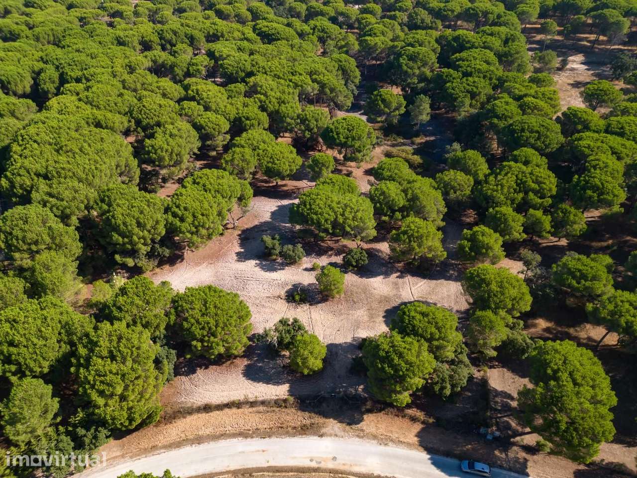 Terreno 2.6 ha, Santo Estevão, Benavente - Grande imagem: 2/24