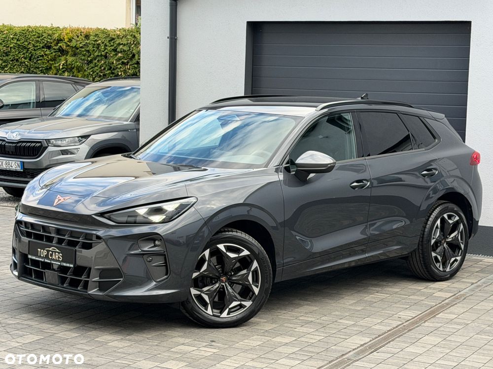 Cupra Terramar 2.0 TSI 4Drive DSG VZ - 18