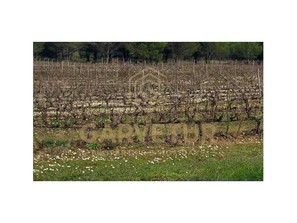 Terreno Misto com 560.000 m2 destinado a Agro-Turismo perto de Silv... - Grande imagem: 5/30